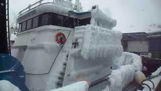 Unisea the frozen bout 2012