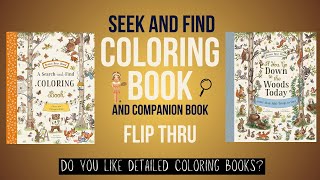 Brown Bear Wood Colouring and Spotting Flip Through-