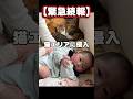 【緊急続報】今度は妹が“猫側”につき始めました。