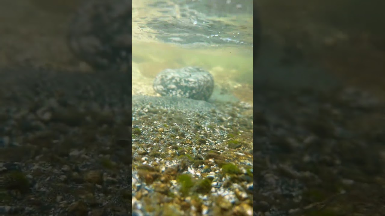 Under the River’s Surface 