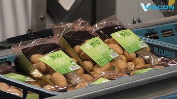 Viscon Fresh Produce - Packing Line for Potatoes [De Aardappelhoeve]