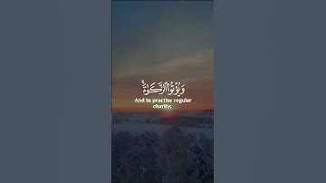 #القارئ_اسلام_صبحي #سورة_البينة #قرآن #اللهم_صل_على_سيدنا_محمد #لا_اله_الا_الله #quransbeauty1