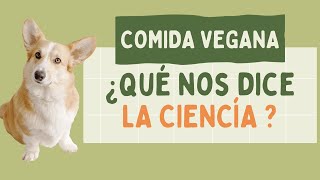 Alimento Vegano para Perros &amp; Gatos