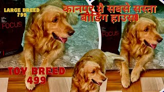 KANPUR MAI BEST DOG BOARDING HOUSE | DOG BOARDING KANPUR | DOG AND CAT HOSTLING HOUSE | by SALONI PET SHOP KANPUR 239 views 1 month ago 6 minutes, 15 seconds