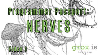 Programmer Passport: Elixir Nerves, Video 1, SSH to a Nerves Target