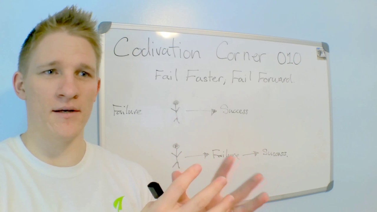 CC | 010  Fail Fast; Fail Forward