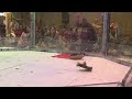 Fight 4 Mini Defiant VS Kabuto