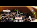 How to Begin making big money, 2.3 minutes tip | June 04, 2026 | Stupidest Broke Guy |