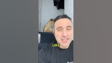 Why You Need A Business Phone Number || Business Phone Number