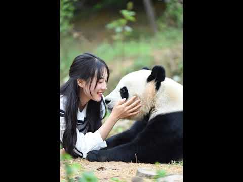 Panda va go'zal qiz nima qilyabdi?