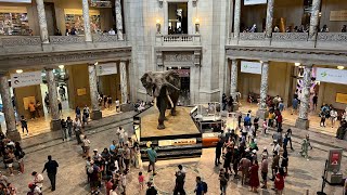 Smithsonian Museum of Natural History -Full Tour\/part 2\/Explore the Best Museums in Washington DC\/4k
