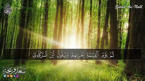 💚# سورة النحل 💚#سعد فريج💚ة#تلاوة هادئة تريح القلب💚 راحة نفسية 💚 القران شفاء الروح Surah An-Nahl