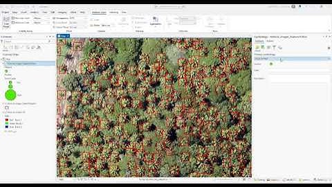 Deep Learning for Palm Tree Detection in High-Resolution Imagery | ArcGIS Pro AI Mapping.