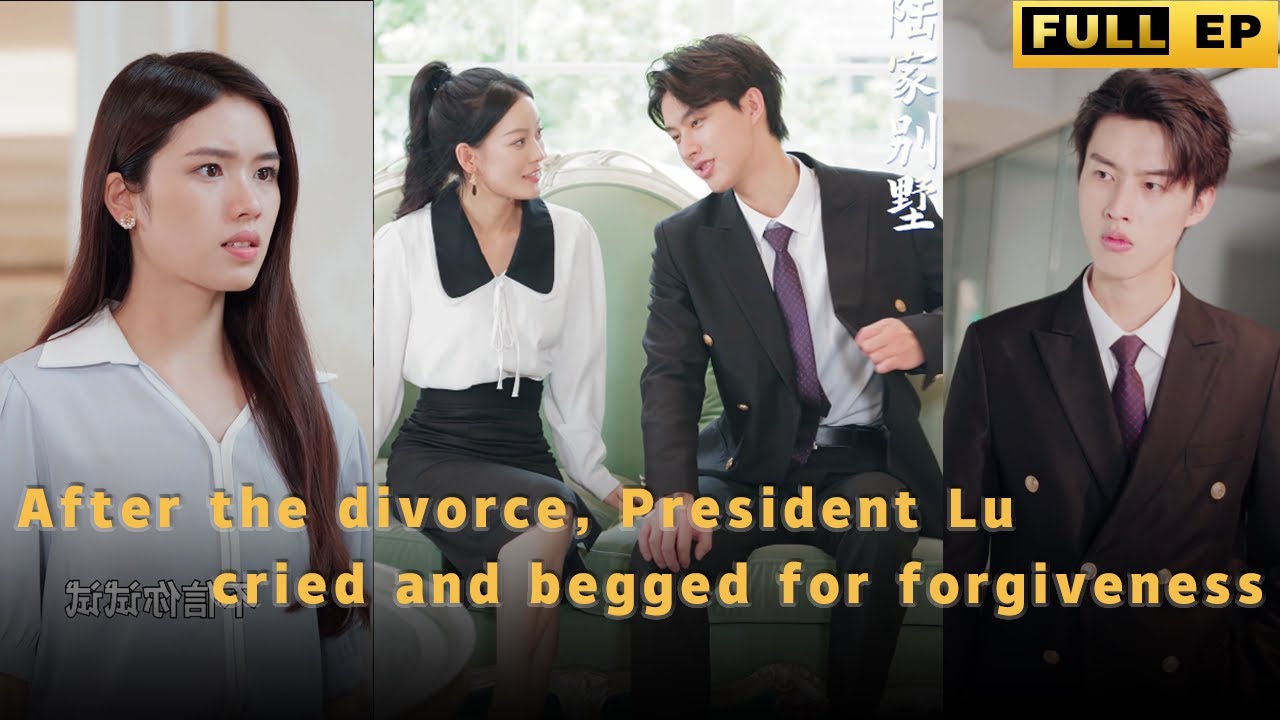 CEO的秘密: 家庭纷争与爱情