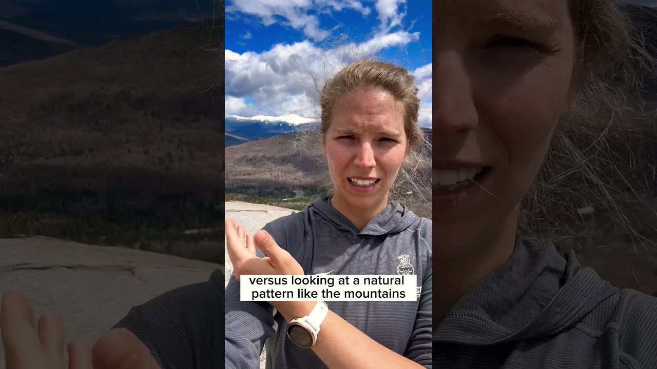 Have you heard of Fractals? 