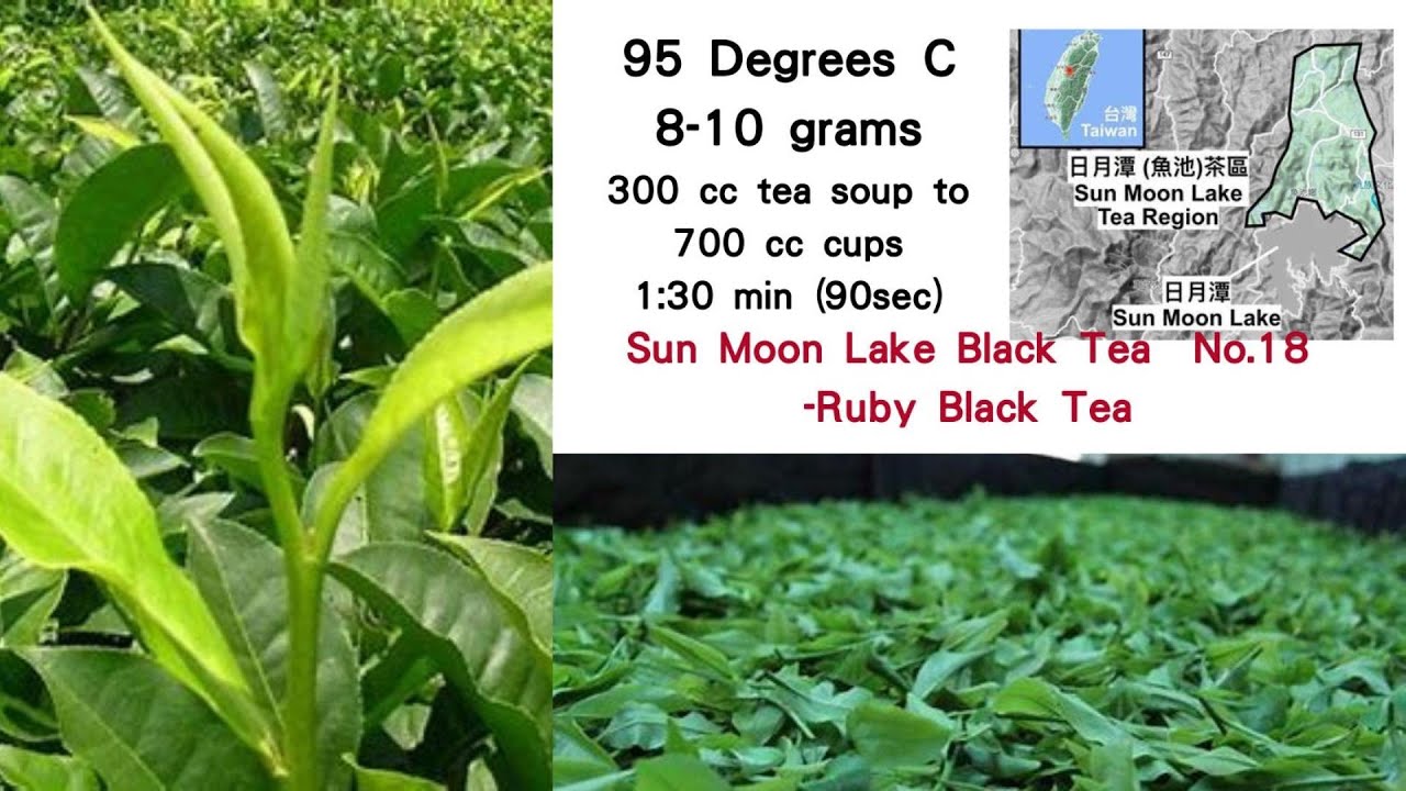 Sun Moon Lake Black Tea - YouTube