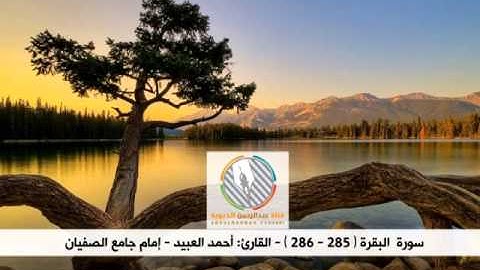 تلاوة ماتعة l أواخر سورة البقرة l القارئ: أحمد العبيد