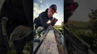 My Thoughts On Wet Ridge