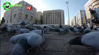 UMRAH 3 MASJID - Kembara Mukmin Travel