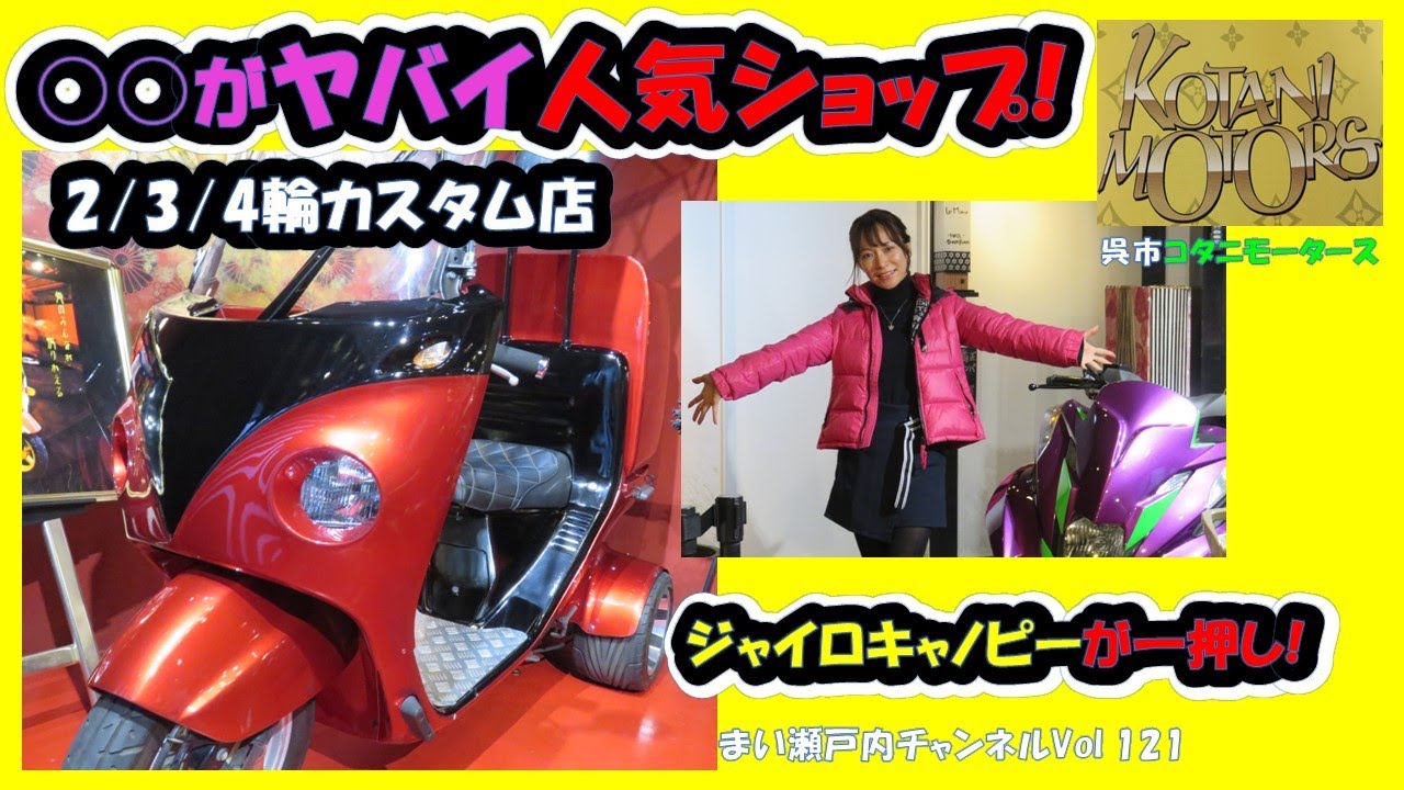 プロジェクト・ケイ – ビッグスクーター・キャノピー・T360 など