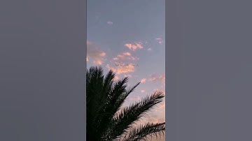 وإن ربك ليعلم ما تكن صدورهم وما يعلنون || القارئ : اسلام صبحي ||