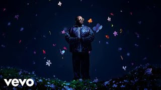 Chronical Deep - Hopola Bana Ba Hao (Visualizer (Outro))