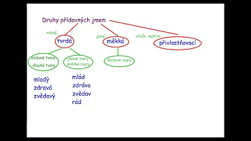 Co jsou slovní druhy podstatného jména?