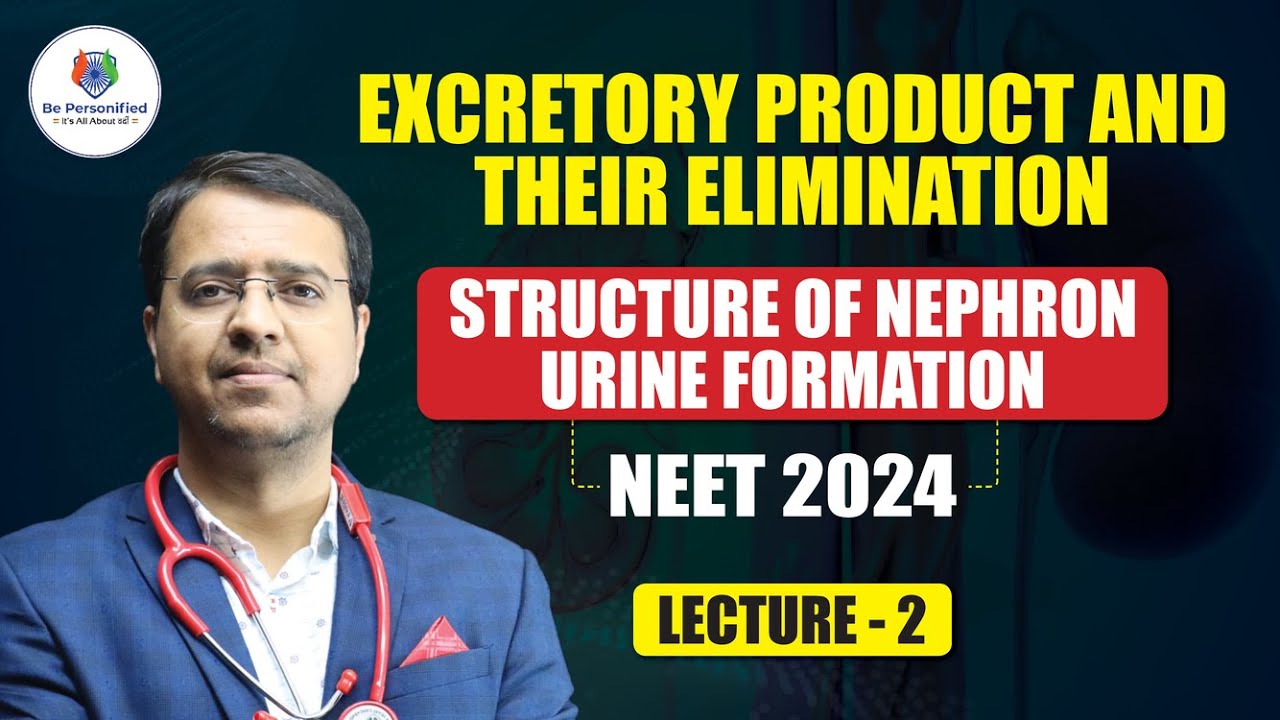 Urine Formation Glomerular Filtration Class 11 Biology/NEET/AIIMS