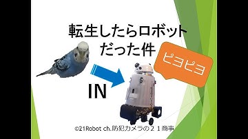 21Robot  ch.インコが転生したらロボットだった件（ラズパイPythonプログラム）