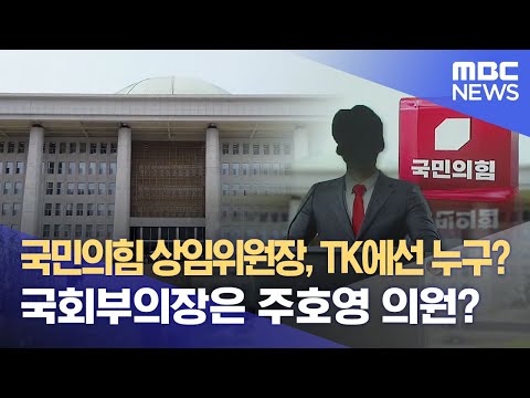 국회부의장은 <strong>주호영</strong> <strong>의원</strong>? (2024.06.26/뉴스데스크/대구MBC)
