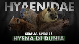 Download lagu Si Buruk Rupa Penghancur Tulang Dari Padang Savana | Spesies Hyena Yang Tersisa di Dunia