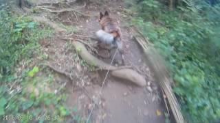 宝篋山 with ぐら 2016 0910 part3
