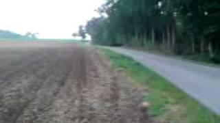 kinder quad 125ccm mit vollgas Kinder Quad 125ccm Panther Wmv