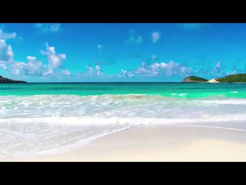 الاسترخاء صوت البحر صوت الطيور بدون موسيقى