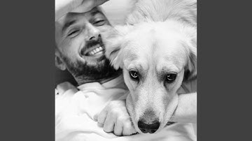 Casual Backdrops for Favorite Pup