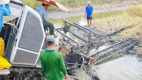 MÁY CẮT LÚA KUBOTA DC CHẠY XUỐNG DỐC CẤM ĐẦU DÍNH CẦU QUA MƯƠNG