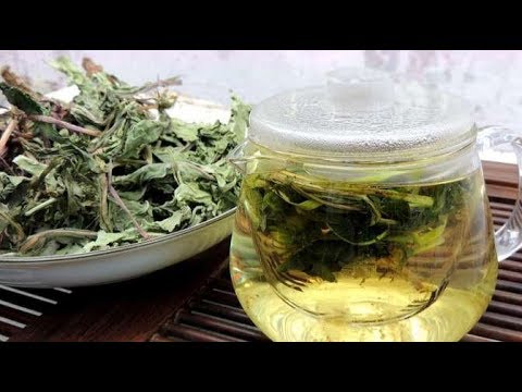 蒲公英泡水喝不是万能的，只有3类人才能多喝，你符合吗？
