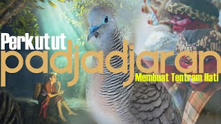 Suara perkutut padjadjaran | Degung Sunda Penyejuk Hati