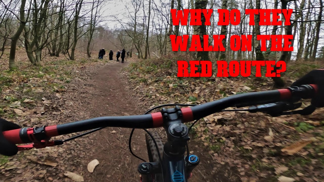 SHERWOOD PINES MTB TRAILS Never a dull moment! YouTube