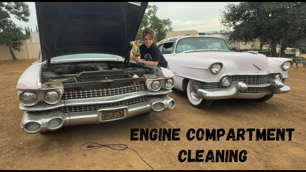 ENGINE COMPARTMENT CLEANING 