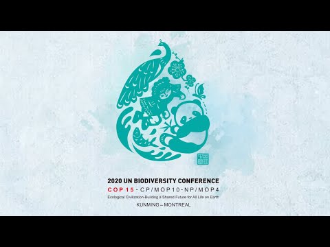 China releases video to show commitment to biodiversity ahead of cop15