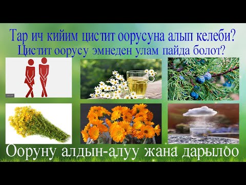 Video: Ири валдын сенсорун кантип алып салуу керек?