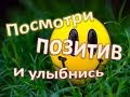 для поднятия настроения #приколы