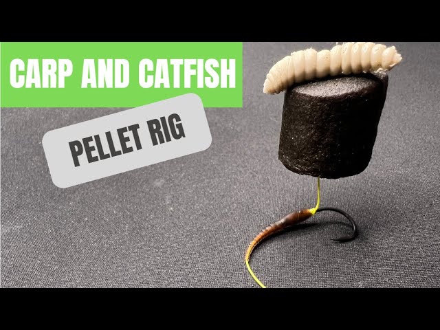 This Is How You Catch CARP And CATFISH On One Rig 