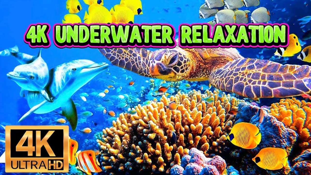🌊 4K Underwater Relaxation – Deep Ocean Sounds & Calming Music for ...