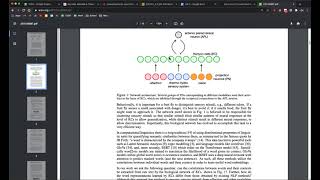 Can a Fruit Fly Learn Word Embeddings? (Liang et al. 2021) Paper Explanation & Discussion