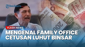 Mengenal Family Office yang Diusulkan Luhut & Ditolak Purbaya Dibiayai APBN