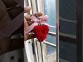 Love key chain #shorts #handmade #viral #trending #woolencraft
