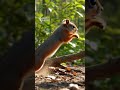 Animal Ai Magic-A cute animal photograph  short video uplode |