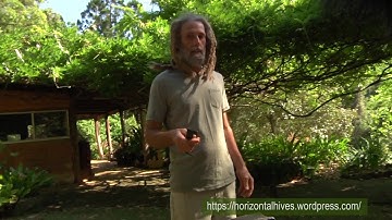 Horizontal Hives two